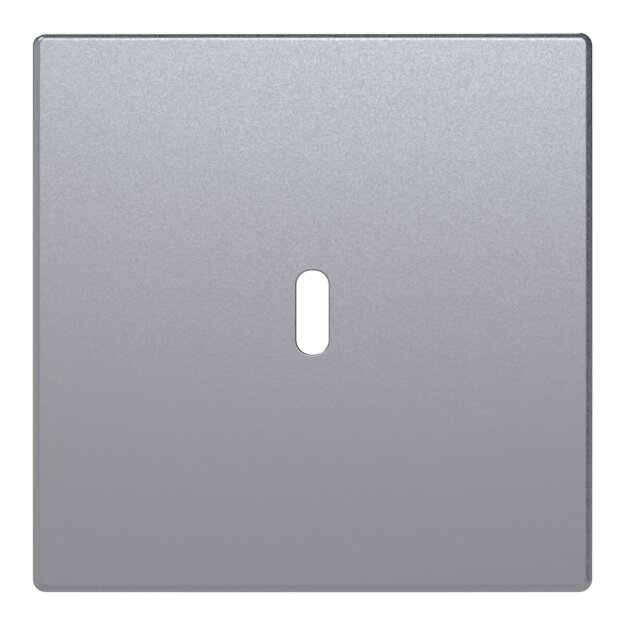 Busch-Jaeger 6479-83 Zentralscheibe USB-C-Power-Netzteil-Einsatz 65W  2CKA006400A0447