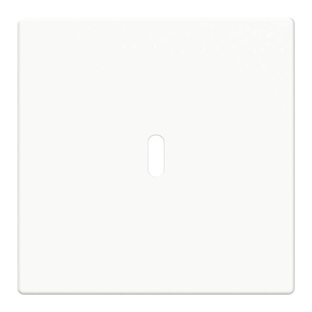Busch-Jaeger 6479-84 Zentralscheibe USB-C-Power-Netzteil-Einsatz 65W  2CKA006400A0449