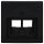 Busch-Jaeger 1803-02-915 Zentralscheibe 2-fach Busch-balance® SI Schwarz matt 2CKA001753A0216