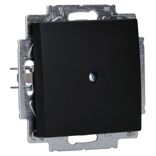 Busch-Jaeger 2538-915 Blindzentralscheibe mit Tragring Busch-balance® SI Schwarz matt 2CKA001715A0321
