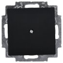 Busch-Jaeger 2538-915 Blindzentralscheibe mit Tragring...