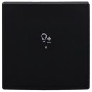 Busch-Jaeger 6234-10-915 Wippe 1-fach mit Symbol...