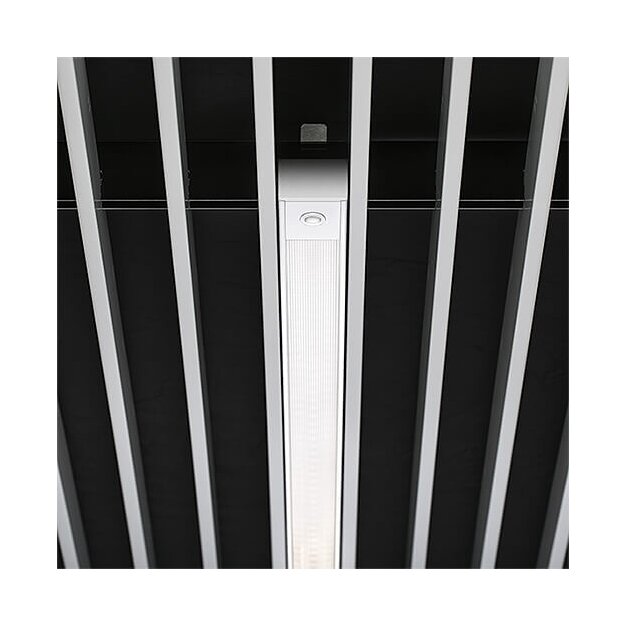 Zumtobel 60211121 Einbau-Modul SUPIL-R DI L1000 2000-930 LDO MPO19 WH