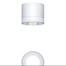 Zumtobel 62930168 LED Decken-Anbauleuchte PANOS SC R150 1k-940 LDO L SPC WH