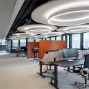 Zumtobel 42187674 Rundleuchte SLOIN R D 6500-930 MSC D1200 MPO LDE WH