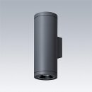 Thorn 96700129 LED-Wandleuchte CESAR AMP L U/D 2L930FM HFX ANT