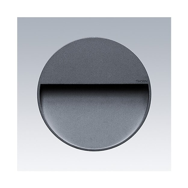 Thorn 96701607 LED-Wandleuchte CESAR STRIDE M SE 28L 930 RD ANT