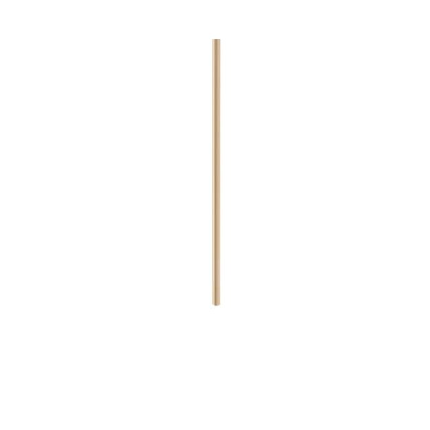 Zumtobel 60500038 Pendelrohr messingfarben CAELA PENDANT TUBE 2000 MS