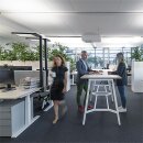 Zumtobel 42190097 Tischhalterung kurz für...