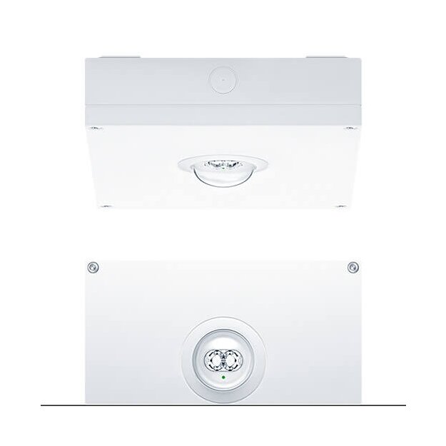 Zumtobel 42185764 Sicherheitsleuchte RESCLITE PRO MSC ANT HP E1D WH IP65