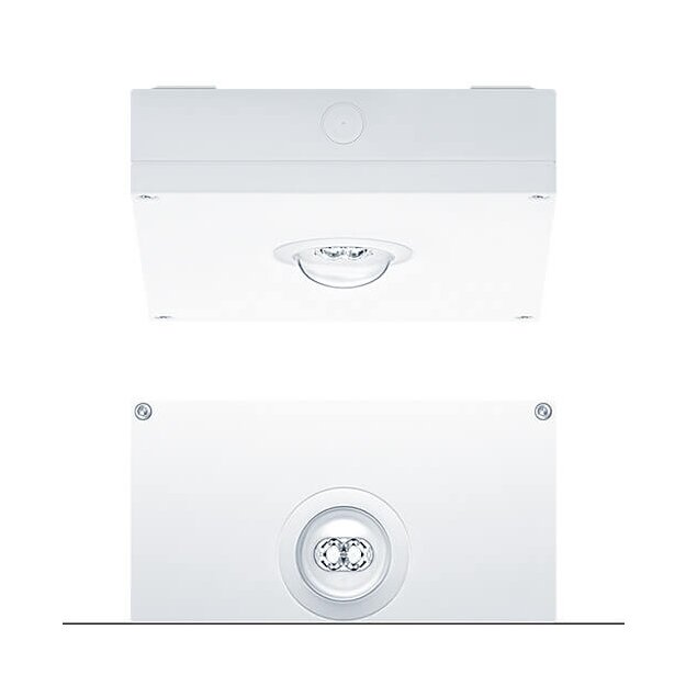 Zumtobel 42185754 Sicherheitsleuchte RESCLITE PRO MSC ANT ECP WH IP65