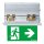 Zumtobel 42185915 Sicherheitszeichenleuchte ARTSIGN 75 P MRC ECP SR SP1-E002-R