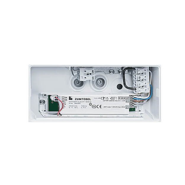 Zumtobel 42186004 Sicherheitszeichenleuchte ERGOSIGN 80 P MSW ECC WH IP54