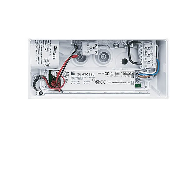 Zumtobel 42186007 Sicherheitszeichenleuchte ERGOSIGN 80 P MSW E3D WH IP54