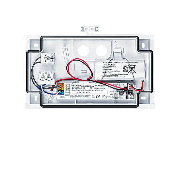 Zumtobel 42186027 Sicherheitszeichenleuchte PURESIGN 150 P MSW E1D WH