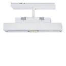Zumtobel 42186877 Sicherheitszeichenleuchte ECOSIGN 160 P...