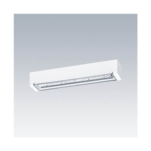 Thorn 96632900 LED-Notlichtleuchte VOYAGER ONE P MS ANT ECD WH IP65