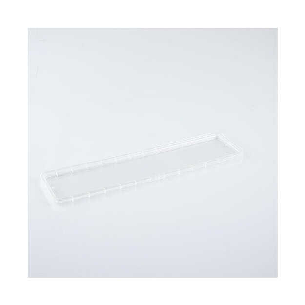 Zumtobel 59011308 Diffusor CR2 COVER LENS PC