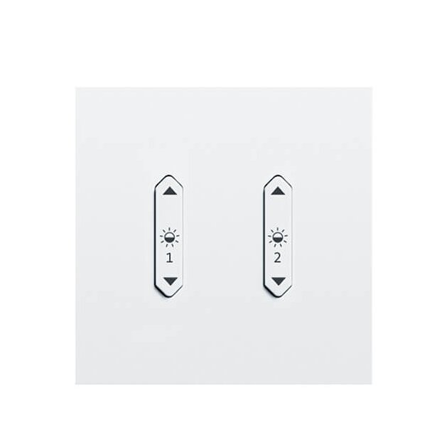 Zumtobel 22161831 Wipptaster 2fach Licht LM-RCW2 b+c