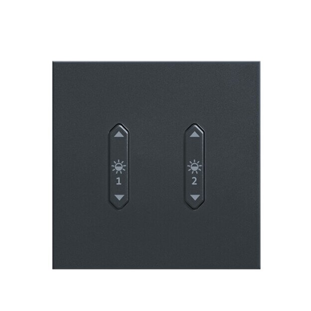 Zumtobel 22161843 Wipptaster 2fach Licht LM-RCB2 b+c