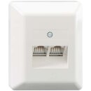 Rutenbeck UAE-Anschlussdose (RJ45-Dose) 2-fach Aufputz 2...