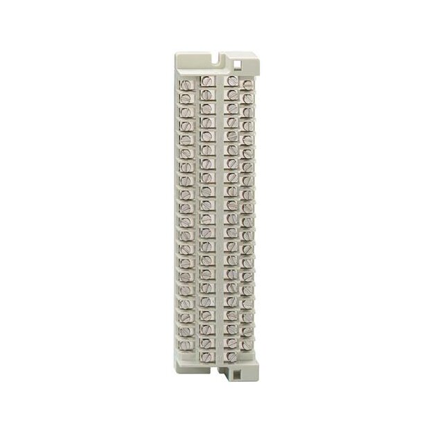 Rutenbeck Anschlussleiste 20 DA mit Schraub-/Schraubkontakten 170 mm Befestigungsabstand AsLe B 20 S/S