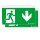 Zumtobel 22168653 Sicherheitszeichen COMSIGN 150 MSC/MRC SP2-E002-D