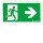 Zumtobel 22168650 Sicherheitszeichen COMSIGN 150 MSC/MRC SP1-E002-R