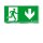 Zumtobel 22166877 Sicherheitszeichen ECOSIGN 160 SP2-E002-D