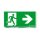 Zumtobel 22166880 Sicherheitszeichen ECOSIGN 160 SP1-E002-R