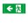 Zumtobel 22166888 Sicherheitszeichen ERGOSIGN 80 SP1-E001-L