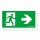 Zumtobel 22168670 Sicherheitszeichen PURESIGN 150 MSC/MRC SP1-E002-R ERI SR