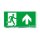 Zumtobel 22900371 Sicherheitszeichen ECOSIGN 160 SP1-E002-UP