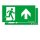 Zumtobel 22900437 Sicherheitszeichen PURE MSC-WF/MRC-WF/MRCR-WF SP2E002UP SR