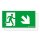 Zumtobel 22900439 Sicherheitszeichen PURE MSC-WF/MRC-WF/MRCR-WF SP1E002DR SR