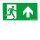 Zumtobel 22900384 Sicherheitszeichen COM MSC-WF/MRC-WF/MRCR-WF SP1E002UP SR