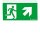 Zumtobel 22900394 Sicherheitszeichen COMSIGN 150 MSC/MRC SP1-E002-UPR
