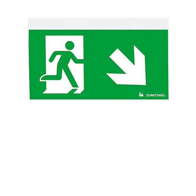 Zumtobel 22900395 Sicherheitszeichen COMSIGN 150 MSC/MRC SP1-E002-DR