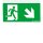 Zumtobel 22900395 Sicherheitszeichen COMSIGN 150 MSC/MRC SP1-E002-DR