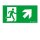 Zumtobel 22900412 Sicherheitszeichen PURESIGN 150 MSW/MRW SP1-E002-UPR SR
