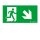 Zumtobel 22900414 Sicherheitszeichen PURESIGN 150 MSW/MRW SP1-E002-DR SR