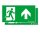 Zumtobel 22900421 Sicherheitszeichen PURESIGN 150 MSC/MRC SP2-E002-UP ERI SR