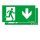 Zumtobel 22171532 Sicherheitszeichen PURESIGN 150 TEC-GP SP2-E002-D WH