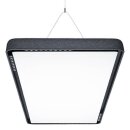 Zumtobel 42189386 Pendelleuchte TRAMAO D+/I 10500-840 LDE...