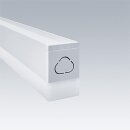Thorn 96630775 Anbau- und Pendelleuchte EQUAMINI L1180...