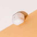 Shelly Bewegungssensor Bluetooth BLU MOTION Bewegungsmelder
