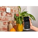 Shelly CNG-Erdgasdetektor Wifi GAS CNG