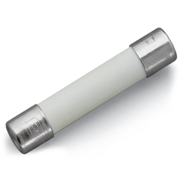 Wago 282-454 G-Sicherungseinsatz