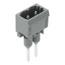 Wago 231-162/003-000 Stiftleiste für Reihenklemme Grau