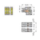 Wago 231-2112/026-000 2-Leiter-Federleiste